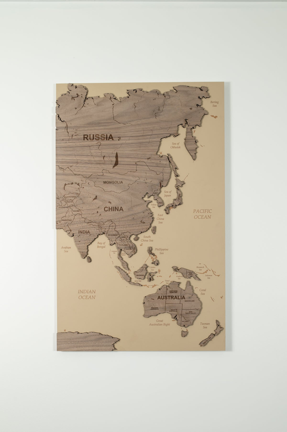 Wooden World Map Wall Art - Mocha