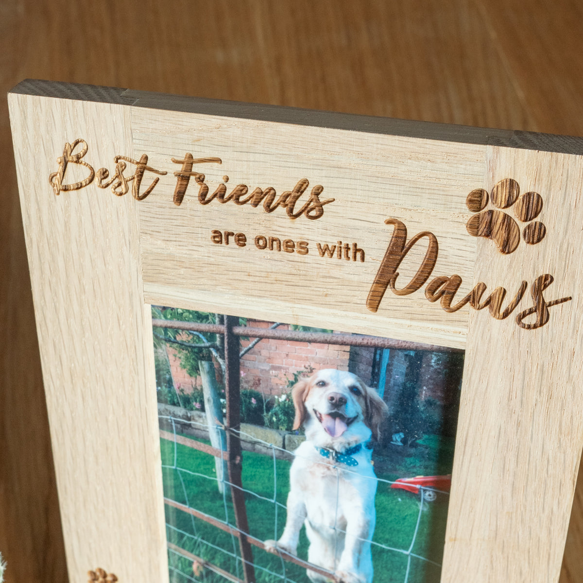 &#39;Best Friends are ones with Paws&#39; Dog Photo Frame