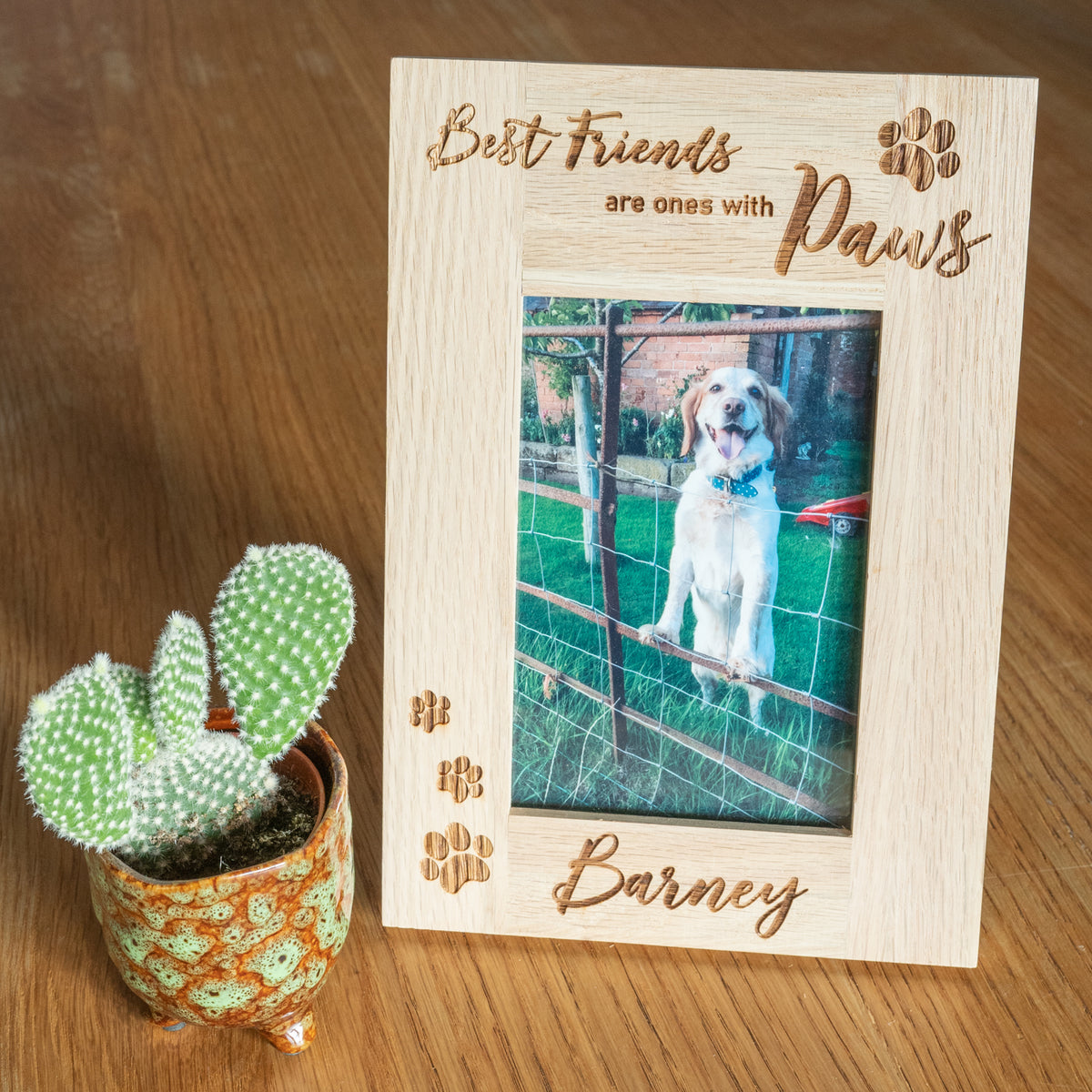 &#39;Best Friends are ones with Paws&#39; Dog Photo Frame