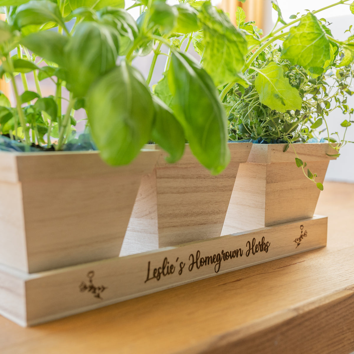 &#39;Homegrown Herbs&#39; Pots in Tray