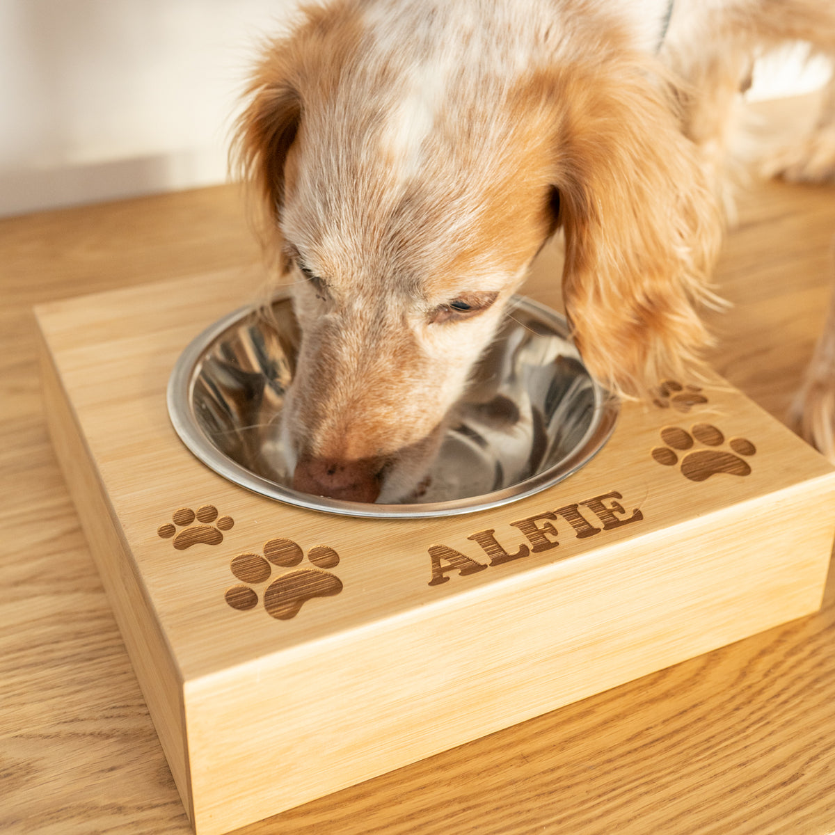 Grand bol de nourriture pour chien